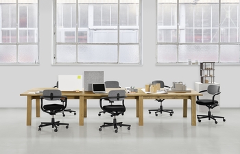 BASIS workstation