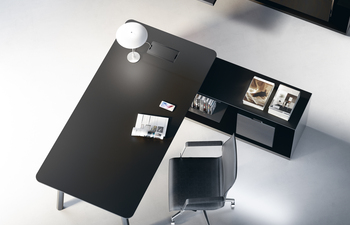 Woods executive storage system