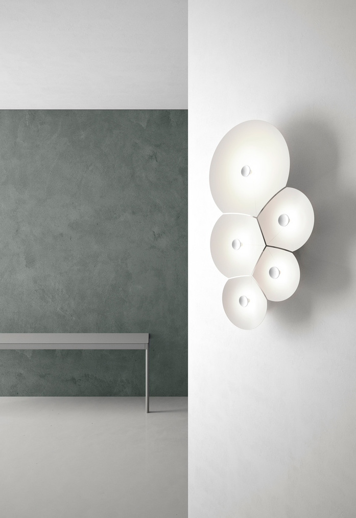 Bulbullia Francisco Gomez Paz 1 01