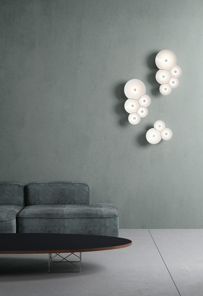 Bulbullia Francisco Gomez Paz 2 01