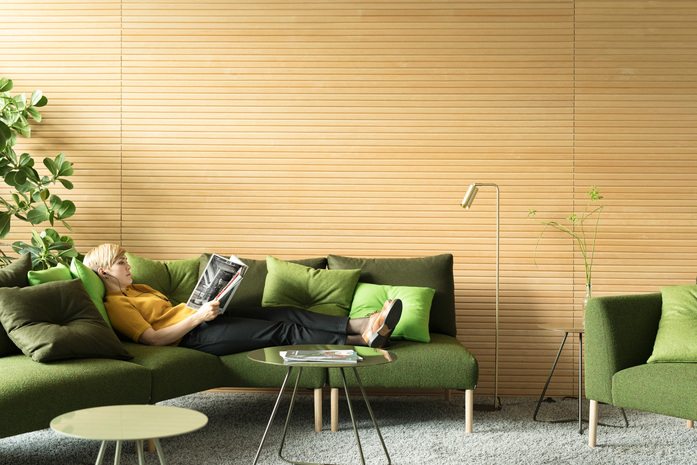 Decorative Cushions 3