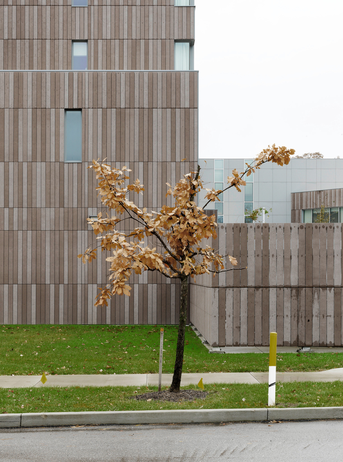Oberlin College 07