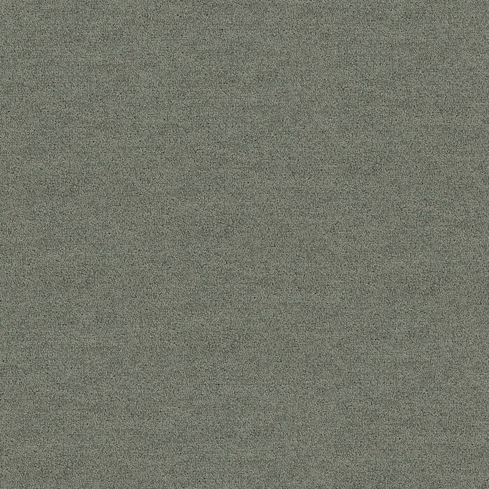 Polichrome Solid 4266005 Silk Grey A