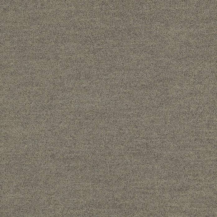Polichrome Solid 4266007 Shiitake A