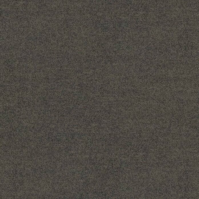 Polichrome Solid 4266008 Mole A