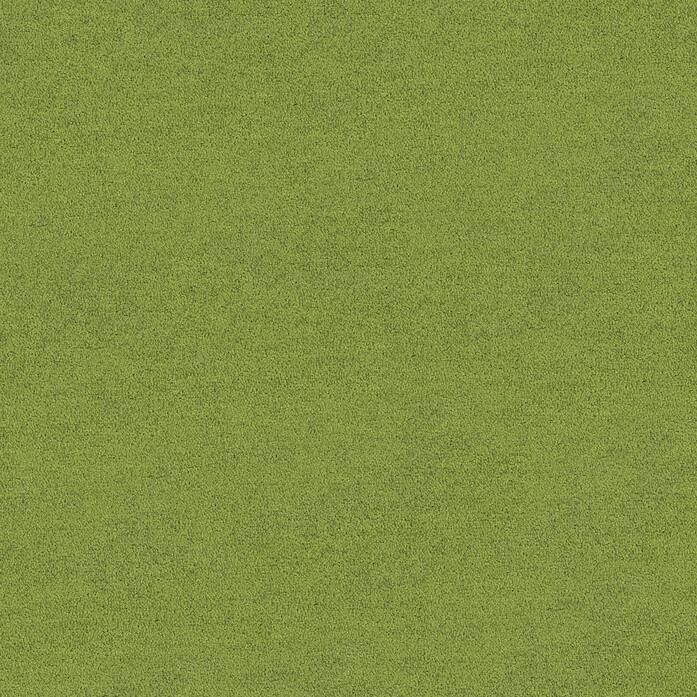 Polichrome Solid 4266012 Peridot A