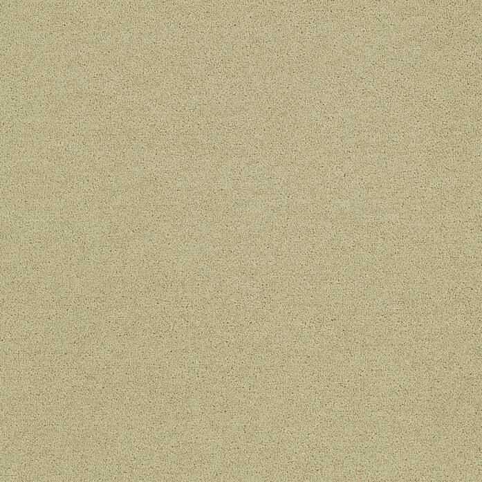 Polichrome Solid 4266017 Turtledove A