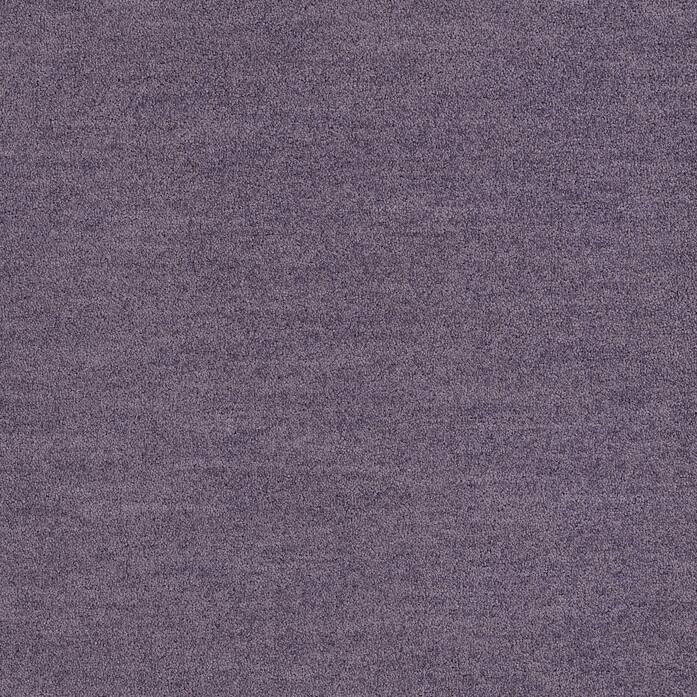 Polichrome Solid 4266020 Viola A