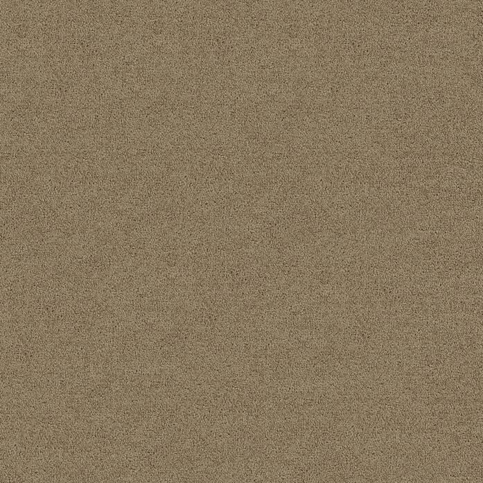 Polichrome Solid 4266021 Marzipan A