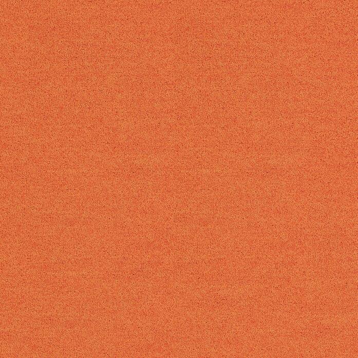 Polichrome Solid 4266022 Carrot A
