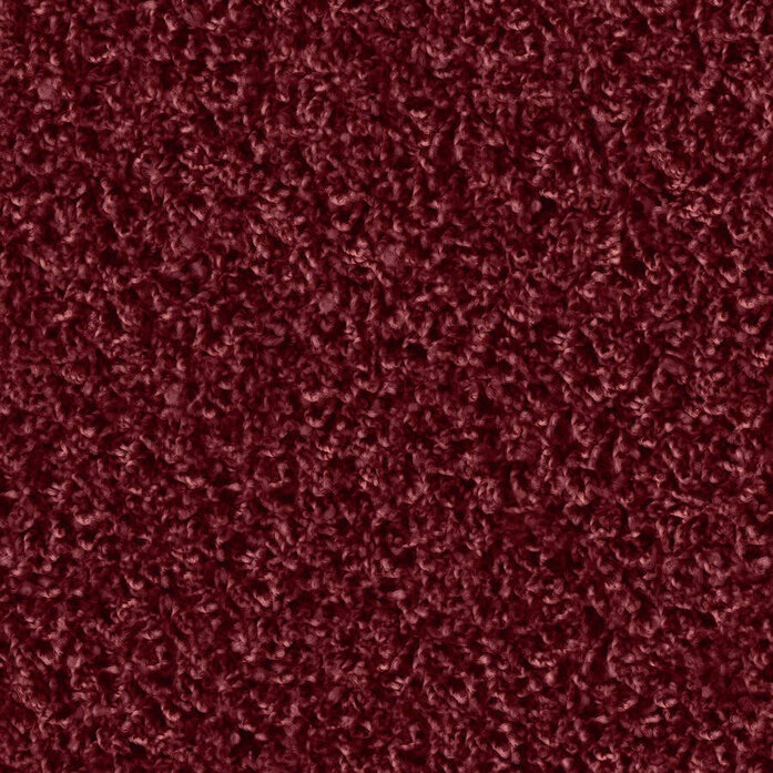 Poodle 1462 Object Carpet