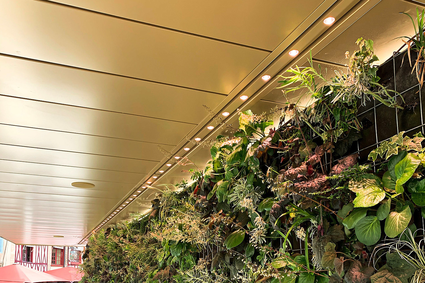LED-Hayat built-in