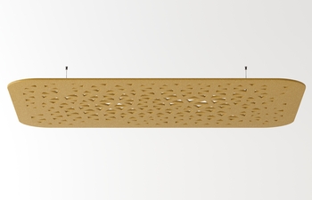 Ceiling Panel Rectangle Web