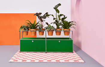 World of Plants for USM Haller