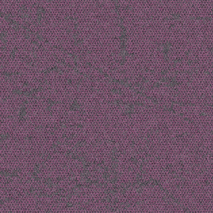 Ice Breaker 4282035 Thistle 50 Cm TILE 1 interface presentation