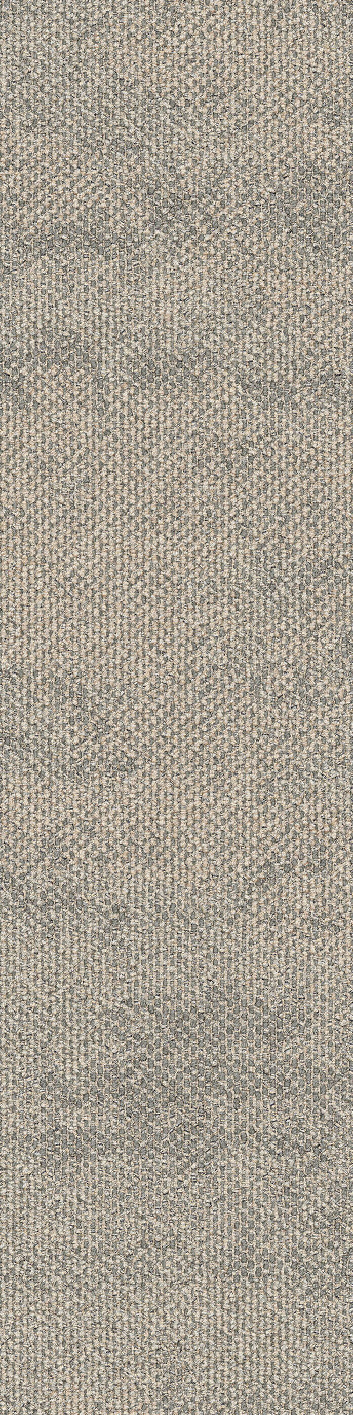 Dry bark desert neutral va1 2048x2048