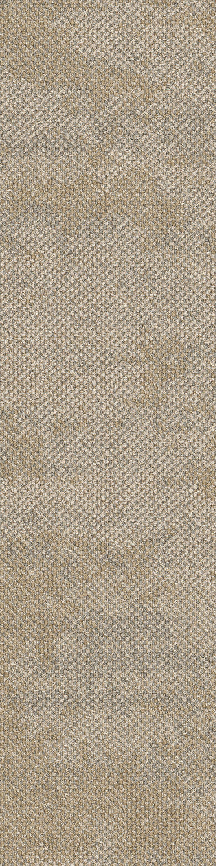 Dry bark freshwater neutral va1 2048x2048