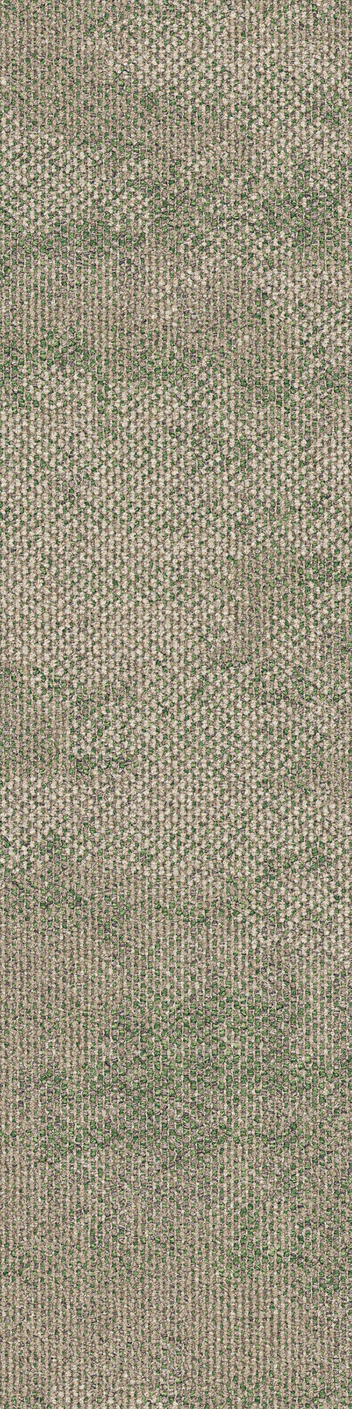 Dry bark rainforest canopy va1 2048x2048