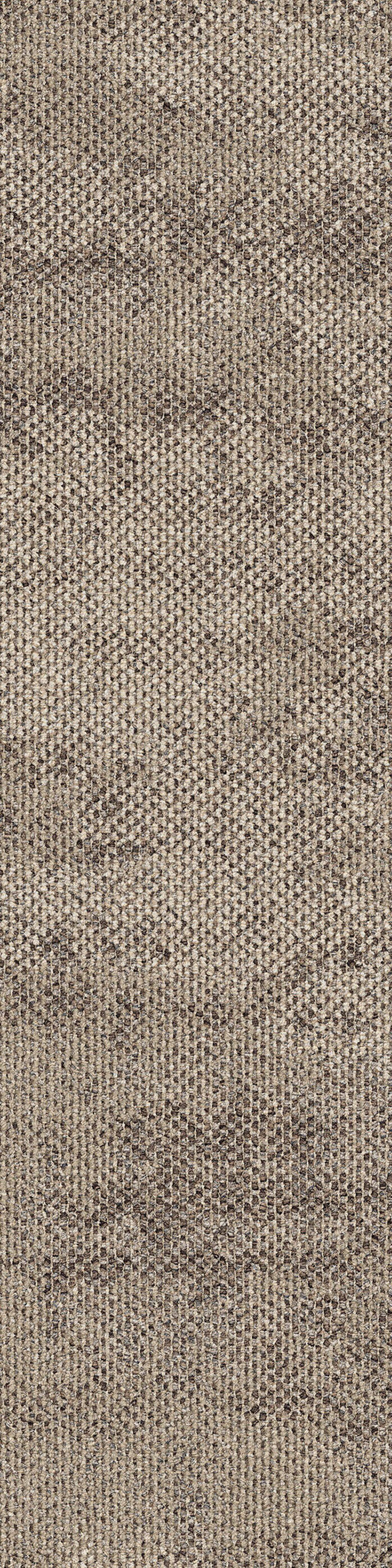 Dry bark rainforest neutral va1 2048x2048