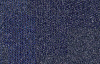 Transformation Amazon