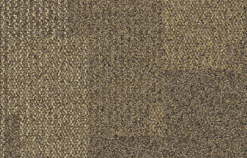 Transformation Desert