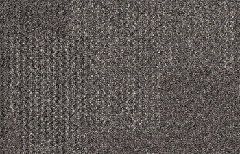 Transformation Steppe