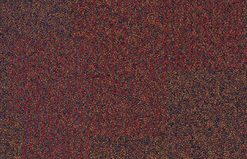 Transformation Tropics